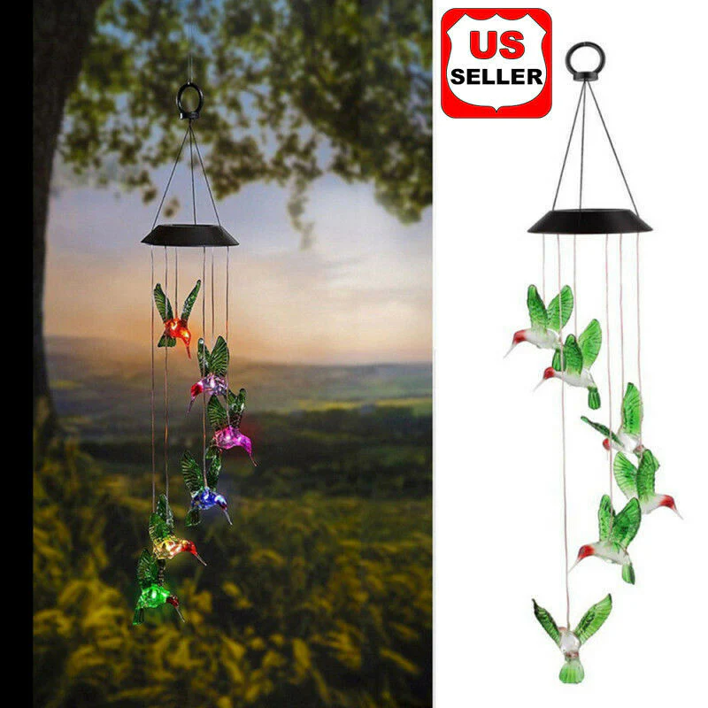 Clearance Sale -  Solar Lighting Decor